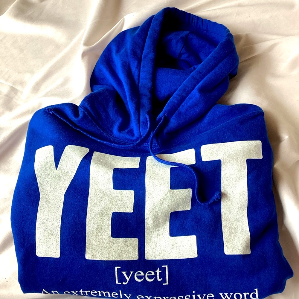 Fan Favorite Teen/Adult Blue Lightweight Hooded Sweatshirt Funny Screen Print